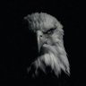𝕬𝖏𝖆𝖟𝖐𝖍𝖆𝖓's profile picture