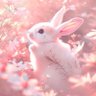 Profilbild von 流星きら『房宿星』