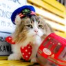Фото профиля 芦ノ牧温泉駅を守る会【公式】