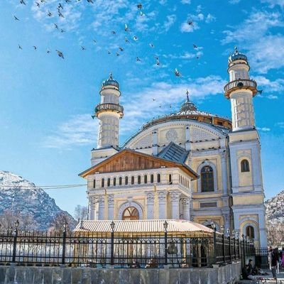 Dokhtar_kabuli's profile picture
