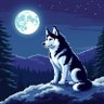 Doge Daddy profil fotoğrafı