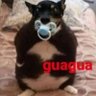 naju profil fotoğrafı