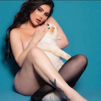 Angiekhouryms's profile picture
