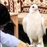 Фото профиля بوخالد