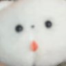 ふわふわな犬 的头像