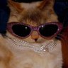 mari kings's profile picture