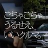 アルファT✂ 的头像