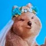 Profilbild von alex