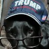 Leslie Raley's profile picture