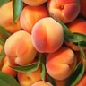 Фото профиля استغفر الله