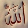 Abdalwaly Zaid 的头像