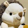 Фото профиля とらきちさん