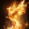 phoenixrise.sol's profile picture