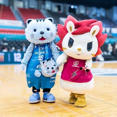 あさみん⚡😺's profile picture