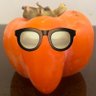 خرمالوی خنگ's profile picture