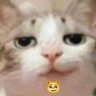 Profilbild von mucous mudbung