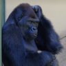 Riski's profile picture