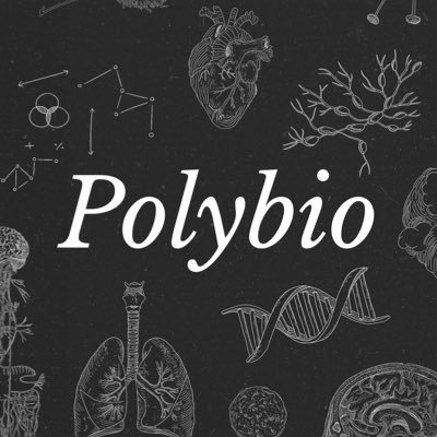 polybioRF's profile picture