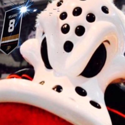 Wild Wing's profile picture