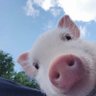 Paola_xns's profile picture