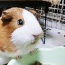 Фото профиля モルを愛する人