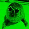 Фото профиля nami SEAL🦐 🦭