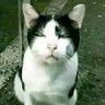 Prabu_kesasar's profile picture