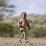 Isma Skinn's profile picture
