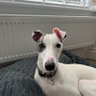 Jack's profile picture