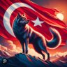 Ferhat Dönmez profil fotoğrafı
