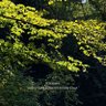 Фото профиля Chetan