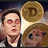 Eloncoin's profile picture