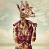 Фото профиля Amelita G. Raffe
