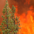 SoCalFirePhoto's profile picture