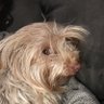 Patty K's profile picture