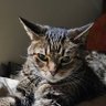 ItsAFaze's profile picture