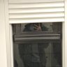 ξύλον's profile picture