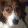 TheJayneway's profile picture