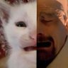 juanito's profile picture