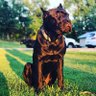 DaddyJ40's profile picture