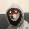 风流他爷爷's profile picture