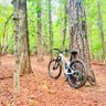Profilbild von MTBDave