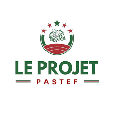 projetpastef's profile picture