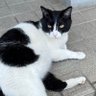 ゆう 的头像