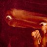 Profilbild von THOMSON (TV)