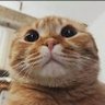 2141sd's profile picture