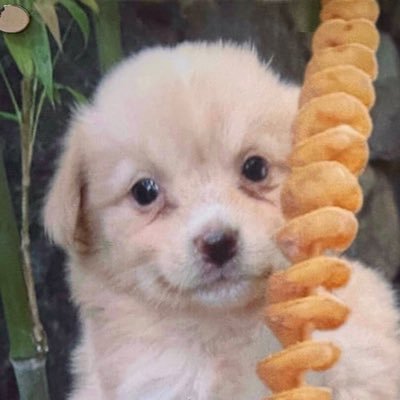 -sugaringpuppy's profile picture