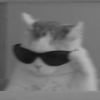 LIN's profile picture