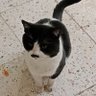 Metin7647 profil fotoğrafı