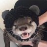 Profilbild von Kylend